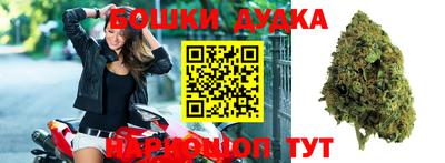гидропоника Пушкино