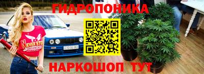 наркотики Пугачёв