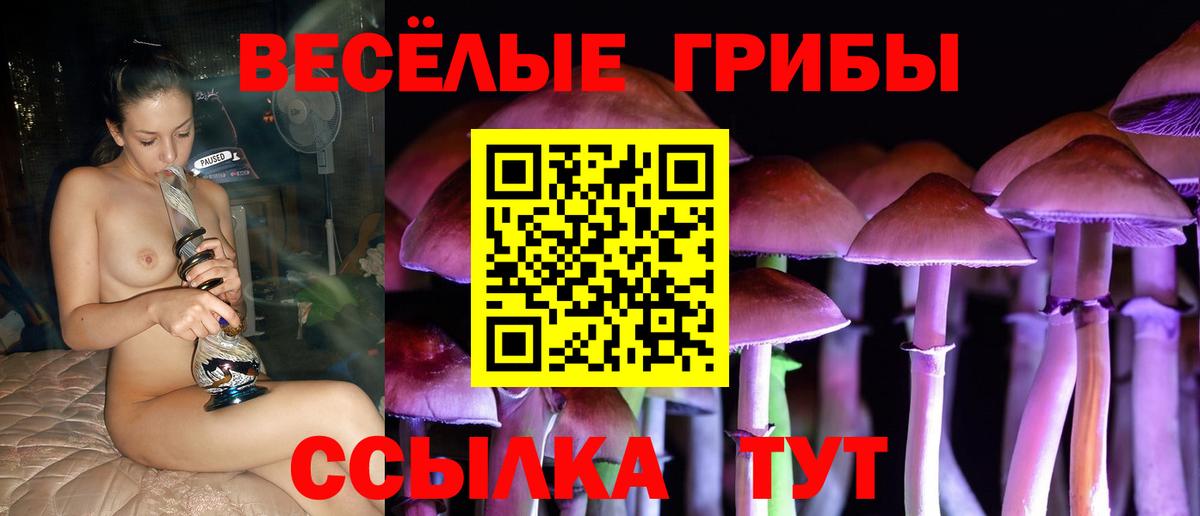 Сланцы  Псилоцибиновые грибы Psilocybe  хочу наркоту  Вход с VPN 