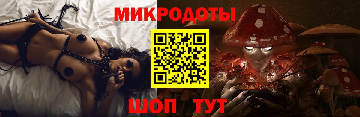 Галлюциногенные грибы Psilocybine cubensis Сланцы